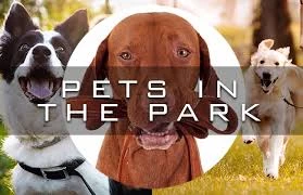 Parks and pets